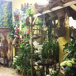 Horario de apertura Floristería Retama, Badajoz