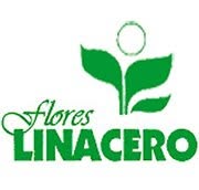 Flores Linacero en Zaragoza (Distrito Universidad) - Horario de apertura