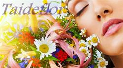 Horario de apertura Taide Flor, Tacoronte