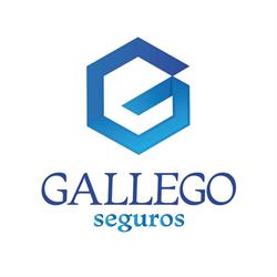 Horario de apertura Seguros Zurich Segovia Gallego, 