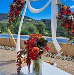 Horario de apertura SA Floristeria de Petra, 