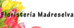 Horario de apertura floristeria madreselva, Sotillo de la Adrada
