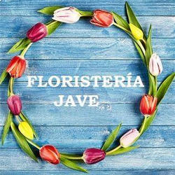 Horario de apertura Floristería Jave, Pozoblanco