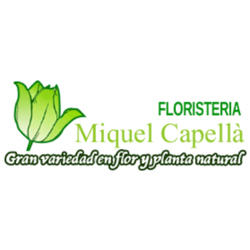 Horario de apertura Floristería Miquel Capellà, Palma de Mallorca