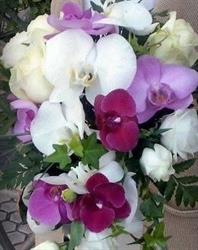 Horario de apertura Floristería María Cristina, Donostia-San Sebastián