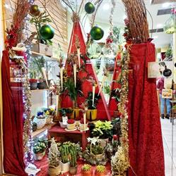 Horario de apertura Floristería Los Nardos, Ourense