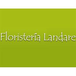 Horario de apertura Floristería Landare, Ansoain