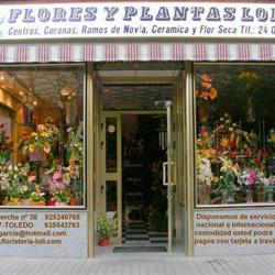 Horario de apertura Flores y Plantas Loli, Toledo
