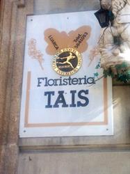 Horario de apertura Floristería Tais, Luarca