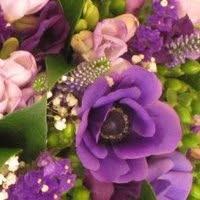 Flores Lantana en Valencia (Extramurs) - Horario de apertura