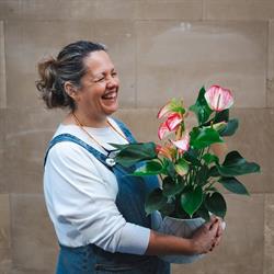 Horario de apertura Floristería Mari Carmen, Alfaro