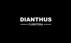 Horario de apertura Floristería Dianthus, Murcia