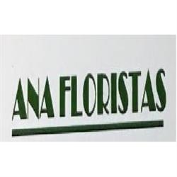 Horario de apertura Floristeria Ana, Villacarrillo
