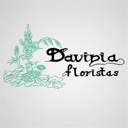 Horario de apertura Davinia Floristas, El Palmar