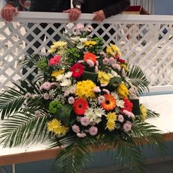 Horario de apertura Floristería Paco Rosety, Cádiz