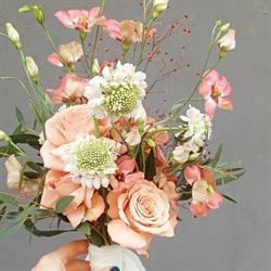 Horario de apertura Floristería Pétalos, Ferrol