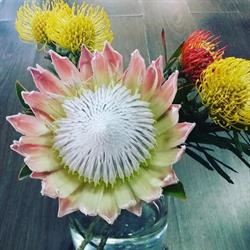 Horario de apertura Floristería Carelia, Sevilla