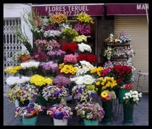 Floristeria A. Teruel en Valencia (Jesús) - Horario de apertura