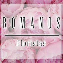 Horario de apertura Romanos, Calahorra