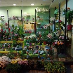 Horario de apertura Galva Floristas, Leganés