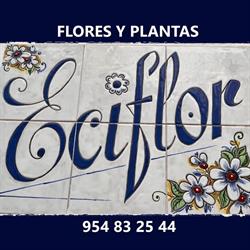 Horario de apertura Floristería Eciflor, Écija