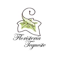 Horario de apertura Floristería Tegueste, 