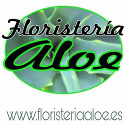 Horario de apertura Floristería Aloe, Santa Cruz de Tenerife