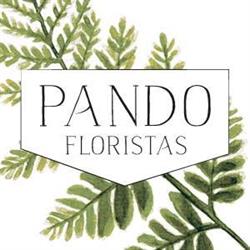 Horario de apertura Pando Floristas, Llanera