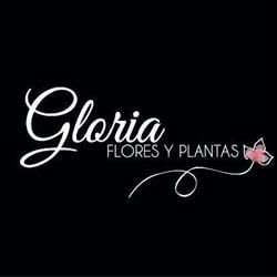 Horario de apertura Floristeria Gloria, Sant Joan d'Alacant