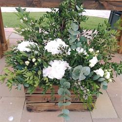 Floristería Buccaro en Alicante (Mercado) - Horario de apertura