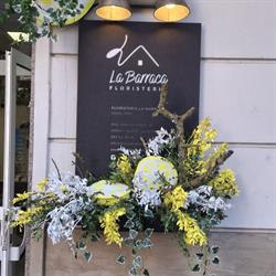 Horario de apertura Floristeria La Barraca, Alcoi