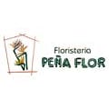 Horario de apertura Floristería Peña Flor, Peñarroya-Pueblonuevo