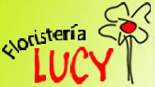 Horario de apertura Flores Plantas Lucy El Barato, Peñafiel