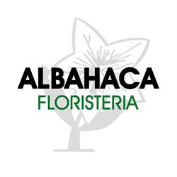 Horario de apertura Floristería Albahaca, Huesca