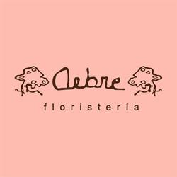 Horario de apertura Arbre Floristeria, Elche