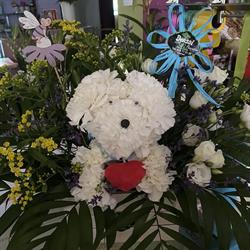 Horario de apertura Floristería Bonsái, Zalamea de la Serena