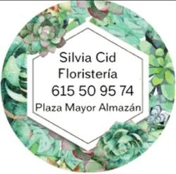Horario de apertura Silvia Cid Floristeria. Almazan, 