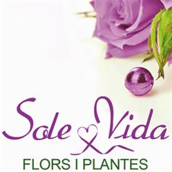 Horario de apertura Flors i Plantes Sole Vida, Valencia