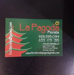 Horario de apertura floristeria la Pagoda, Las Palmas de Gran Canaria