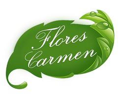 Horario de apertura Flores Carmen, Valderas