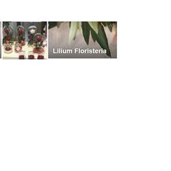 Horario de apertura Floristería Lilium, La Carolina