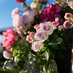Horario de apertura Floristeria Yedra, Candás