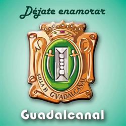 Horario de apertura Ayuntamiento de Guadalcanal, 