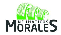 Horario de apertura Neumáticos Morales, Teror