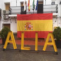 Horario de apertura Excelentisimo Ayuntamiento de Alia, 