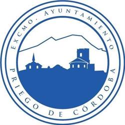 Horario de apertura Ayuntamiento de Priego de Cordoba - Centralita, 