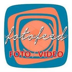 Horario de apertura Fotofeed S.l., Almoradí