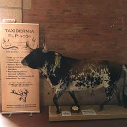 Horario de apertura El Rincón, Carbajosa de la Sagrada
