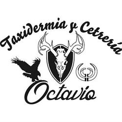 Horario de apertura TAXIDERMIA OCTAVIO, Poblete