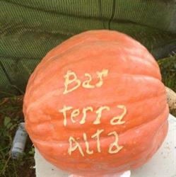 Horario de apertura Bar Terra Alta, Corbera d'Ebre